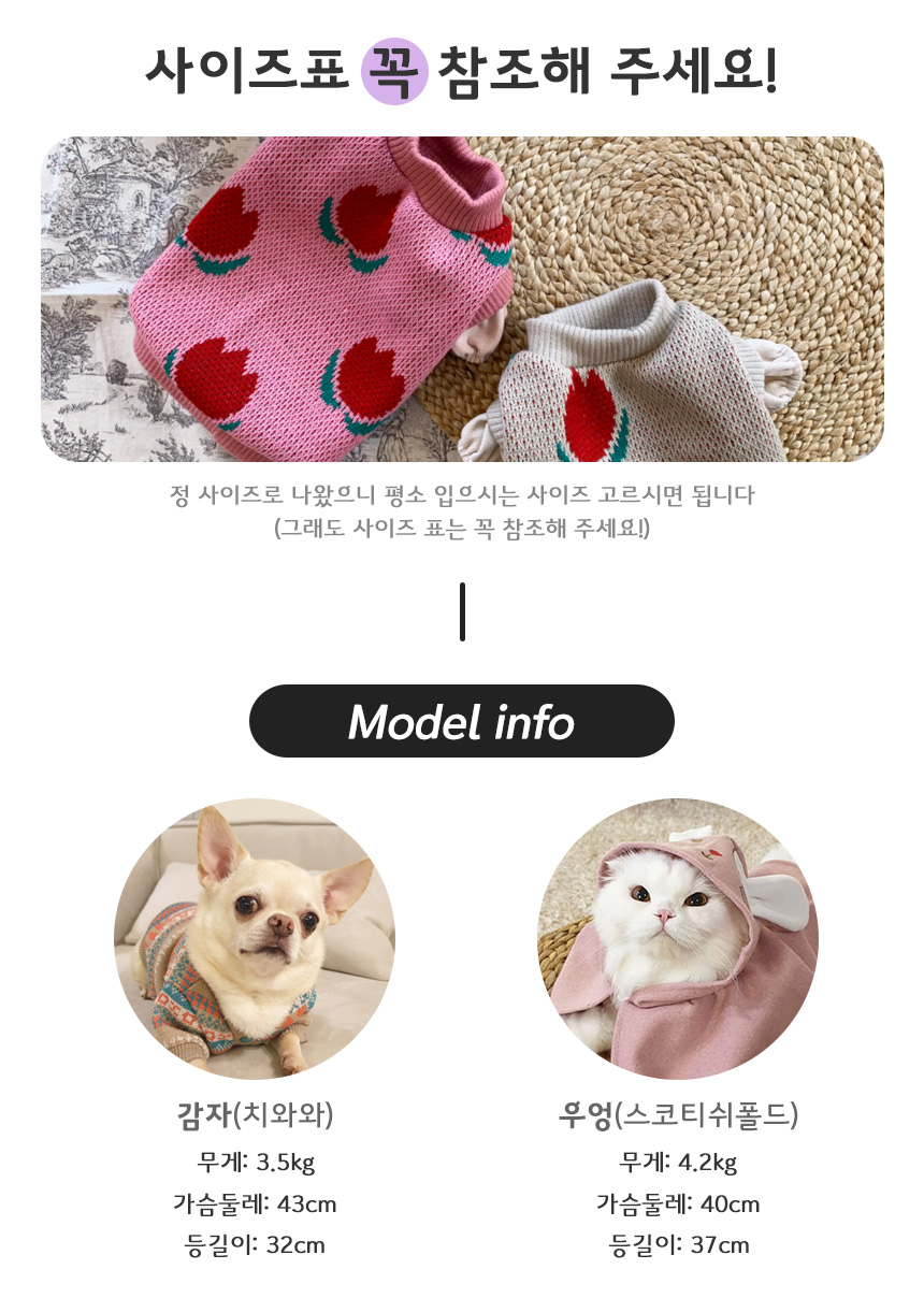 ab4683bed1c369c529c8bafedfca6170_1633673188_6515.jpg