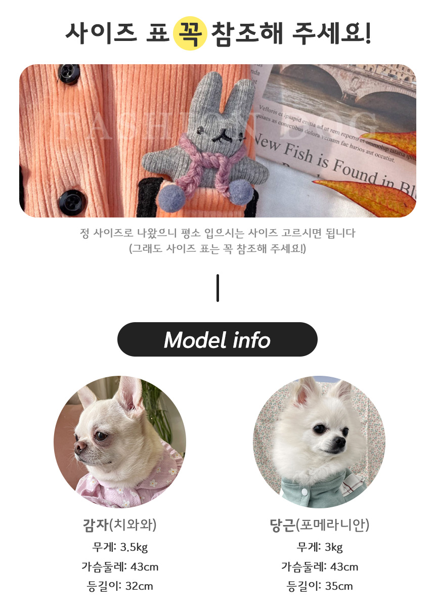 01ddfc0819076ee6ef9c6703e2323196_1671683549_7953.jpg