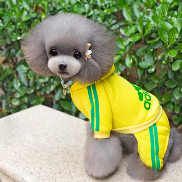 강아지츄리닝 아디도그트레이닝복
