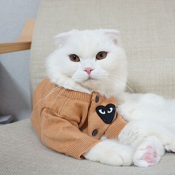 고양이 강아지 하트 가디건 맨투맨