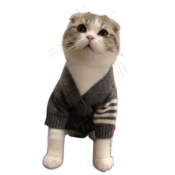 강아지 줄무늬 가디건