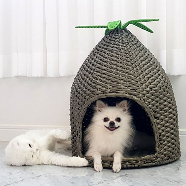 파인애플 라탄하우스 강아지 고양이집