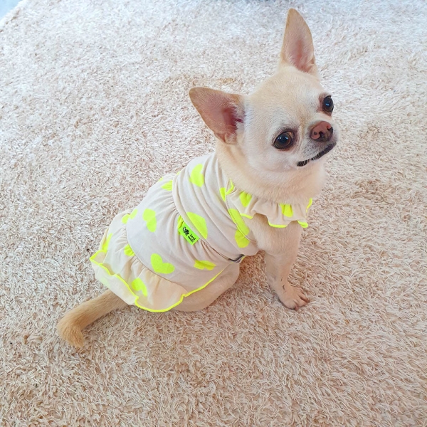 강아지 실내복 네온슈가 민소매