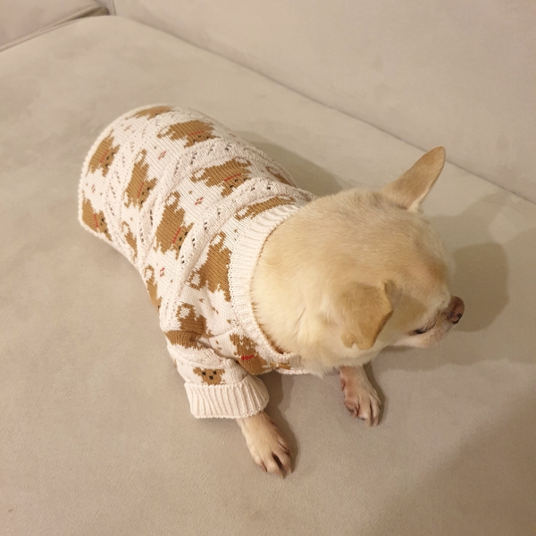 강아지옷 곰돌이가디건