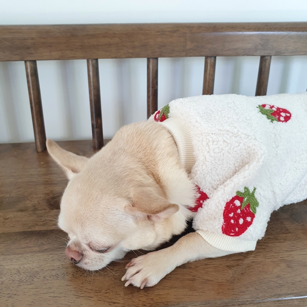 강아지 딸기자수뽀글이 티셔츠