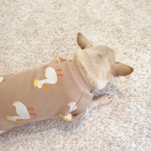 강아지 왕관오리 티셔츠