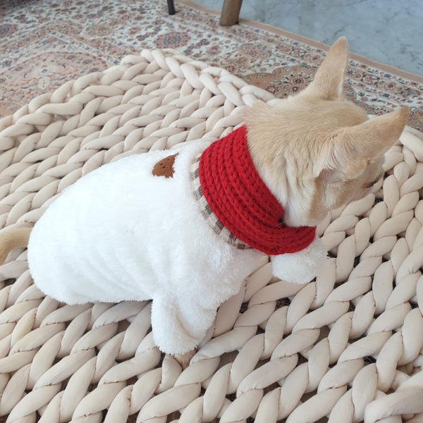강아지겨울옷 포그니 곰돌이 가디건