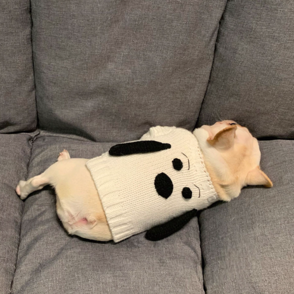 강아지 귀달이 티셔츠