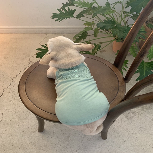 강아지옷 아코디언케미솔