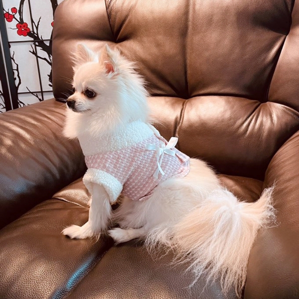 강아지한복 따숨꽃배자 설날 명절한복 추석