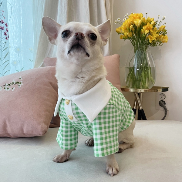 강아지 봄옷 뾰족카라티셔츠 크롭티