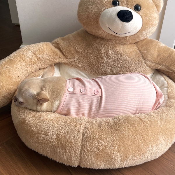 강아지옷 마카롱아이스 골지티셔츠 여름옷